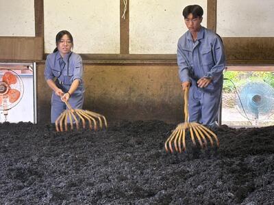 IMG_4917_202411051421035