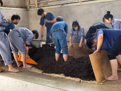 スクリーンショット 2024-11-18 163649