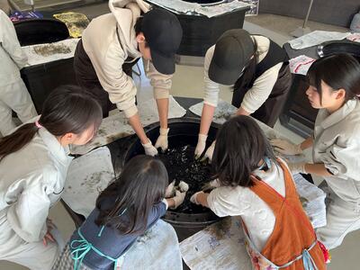 IMG_5024_202411301108032