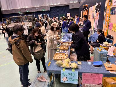 IMG_5304_202412081248055