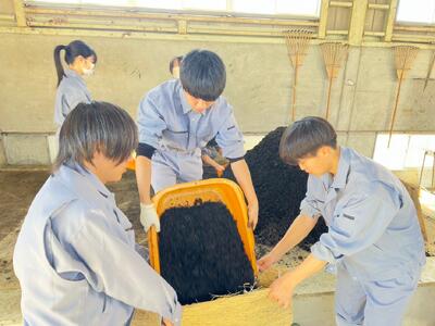 IMG_5378_202412240836020