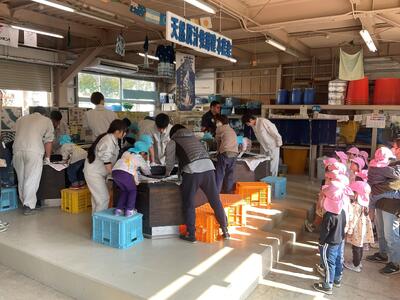 IMG_5264_202501221114030